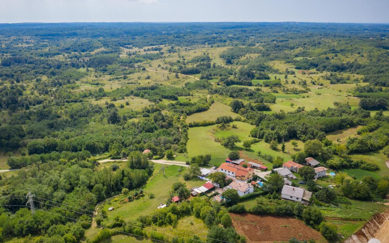 House Smoky With Private Pool And Jacuzzi Pazin